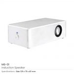 Induction-Speaker-MS-01