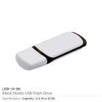 Promo Plastic USB Flash Drives