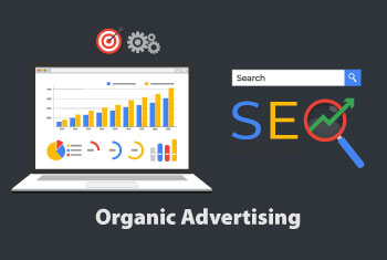 Organic Advertising services in Germany | HMI GmbH offers SEO services in Germany | Organic marketing services in Germany with HMi GmbH