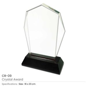 Crystal Awards - Image 4