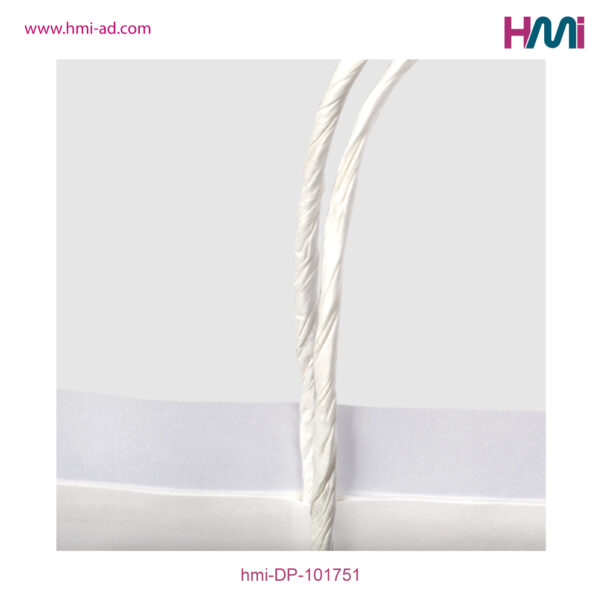 Paper shopping Bag 51 | Printable Paper Shopping Bag in Germany | Paper Bag in Germany | Printable Shopping Bag in Germany | hmi-DP-101751-03