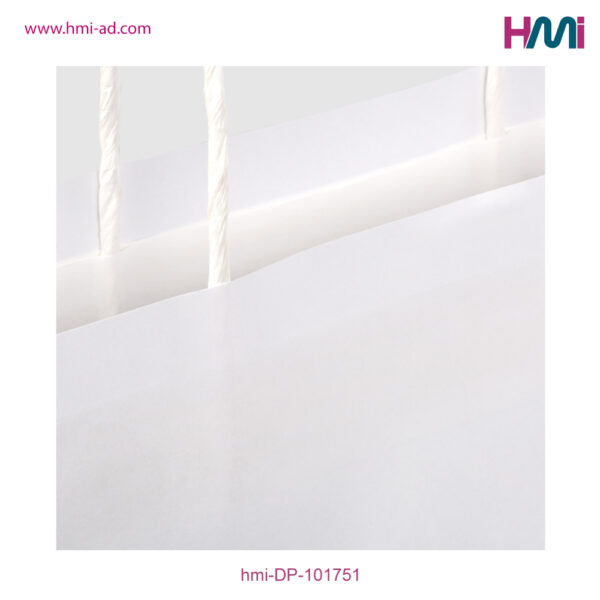 Paper shopping Bag 51 | Printable Paper Shopping Bag in Germany | Paper Bag in Germany | Printable Shopping Bag in Germany | hmi-DP-101751-05