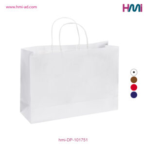 Paper shopping Bag 51 | Printable Paper Shopping Bag in Germany | Paper Bag in Germany | Printable Shopping Bag in Germany | hmi-DP-101751