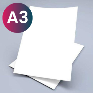 A3